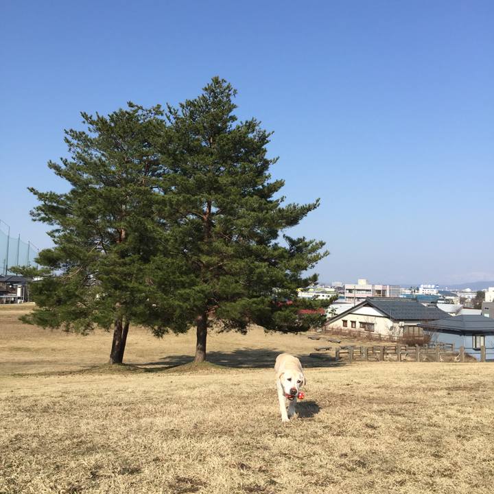 7dcd989c b0a8 4ed1 b3f6 5bdfd802ddf0 1522133022507