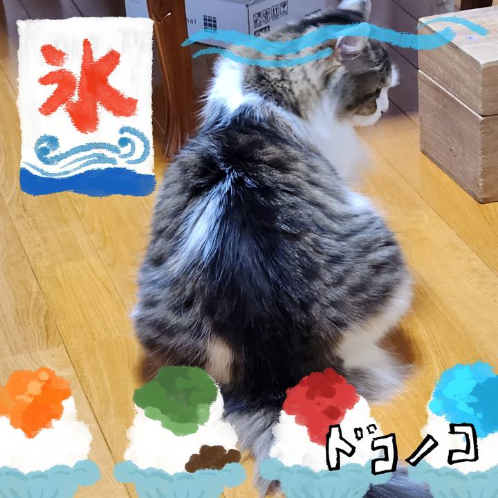 7dcdd7d9 b171 4bbc 9788 cc8b415df409 1723281918643