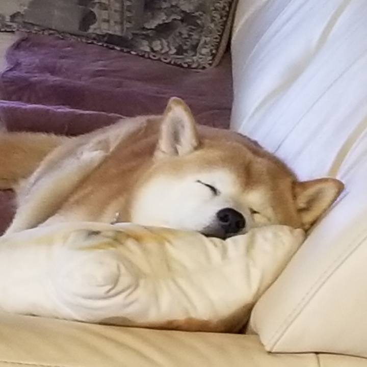 7dce7a14 97f4 4406 a204 d70b3d5d3e83 1666652438465