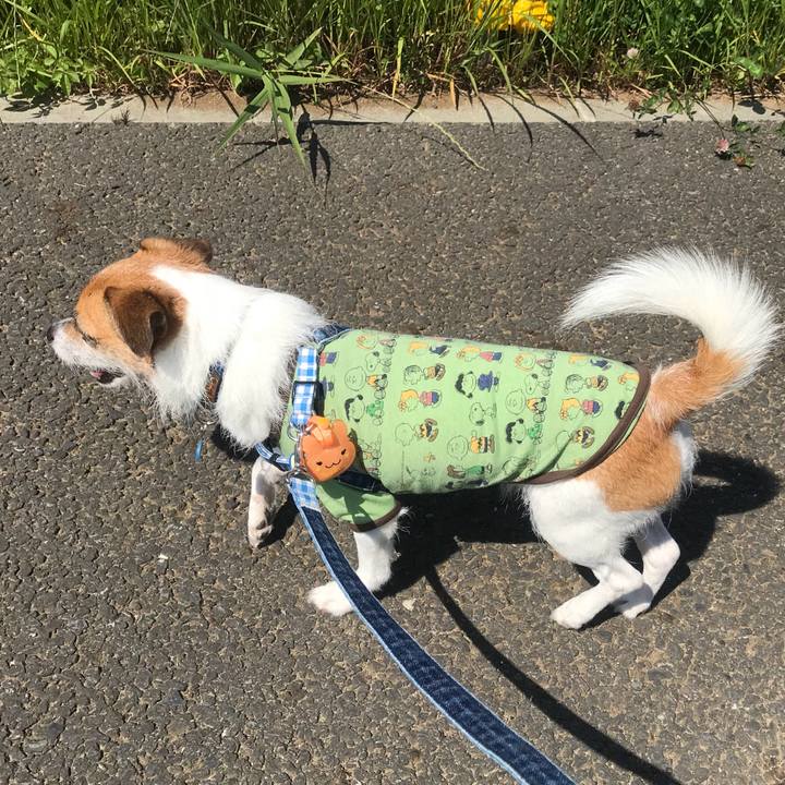 7dce9408 f2f9 4064 9ae1 fa647acf165c 1528015708608