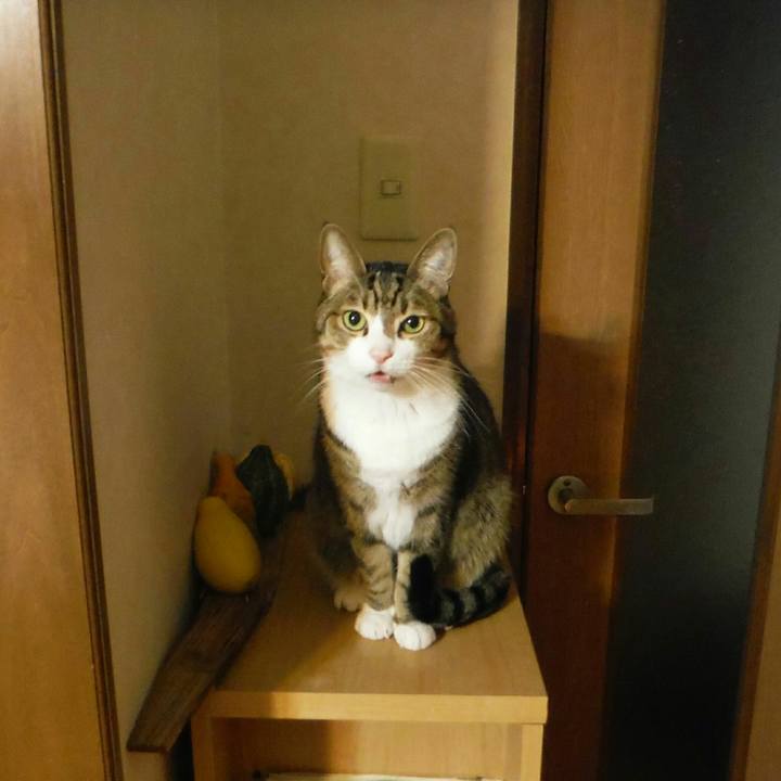 7dcea9fe 2915 40fa 9bac bed444220eaa 1515983650120