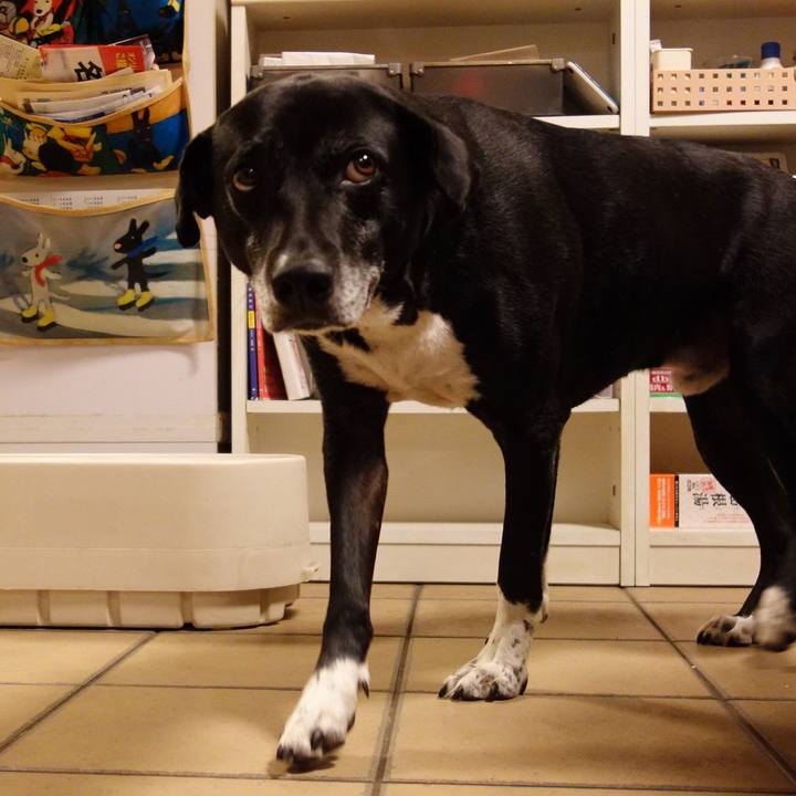 7dcec0bc 989d 4930 b357 871f6520e27d 1739442223005