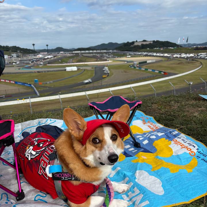 7dcee425 4879 4d34 bfd9 3766b541919b 1759015678062