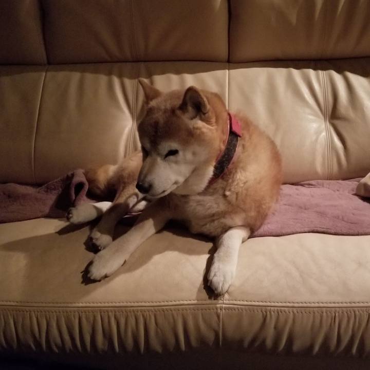 7dcee798 706e 4b4e 99cc d665c28233d1 1739993978549