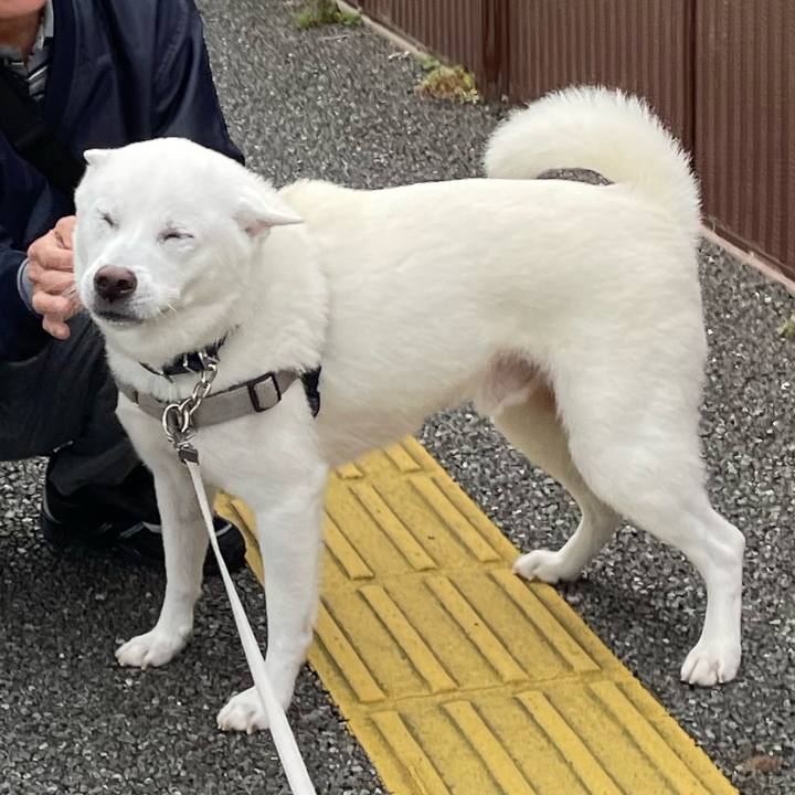 7dcef6b8 ba7e 4253 a462 c23c08245414 1699526874627