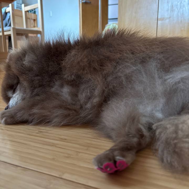 7dcf00c9 fcd6 4155 8940 7c3ca9129e07 1766295527027