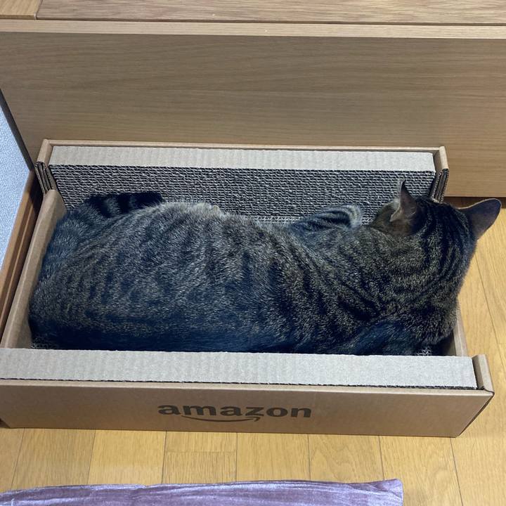 7dcf1922 298a 4337 ad79 fc34e61a8d4b 1626511325588