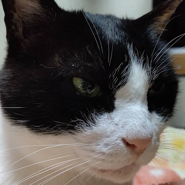 7dcf2877 3d0c 4018 902e 6351c2921a45 1648736075338