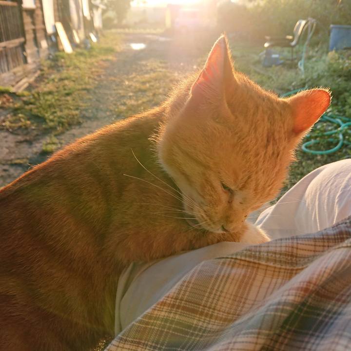 7dcf310a f409 497b b689 9358049b5498 1568667782693