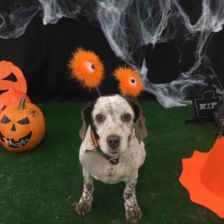 7dcf49ee cccb 4bd2 b5e6 b40ee3d1e8ac 1509468859225