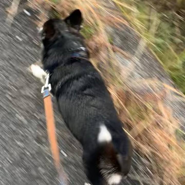 7dcf5b96 5759 4c96 a24e 7fbd28368373 1668814586728