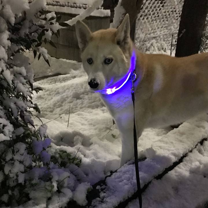 7dcf8365 7115 4b77 a2d0 2075a94d5052 1641517380856