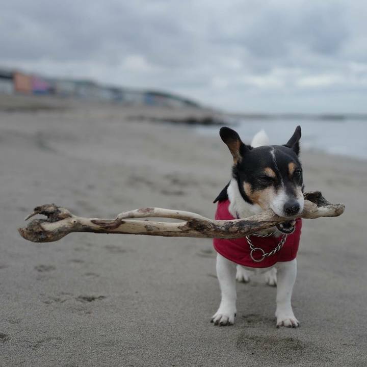 7dcf8dc6 d9b5 48d8 8ff0 2c2488fbe8b0 1515216941375