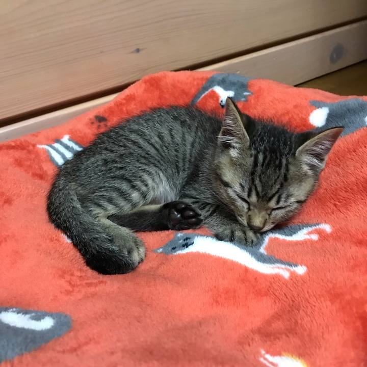 7dcfada6 c251 4597 84c2 42c2aa42604a 1561726471632