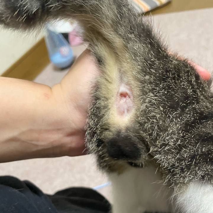 7dcfd5bd ea71 4d9b ba5a d4117551d9f5 1725734116444