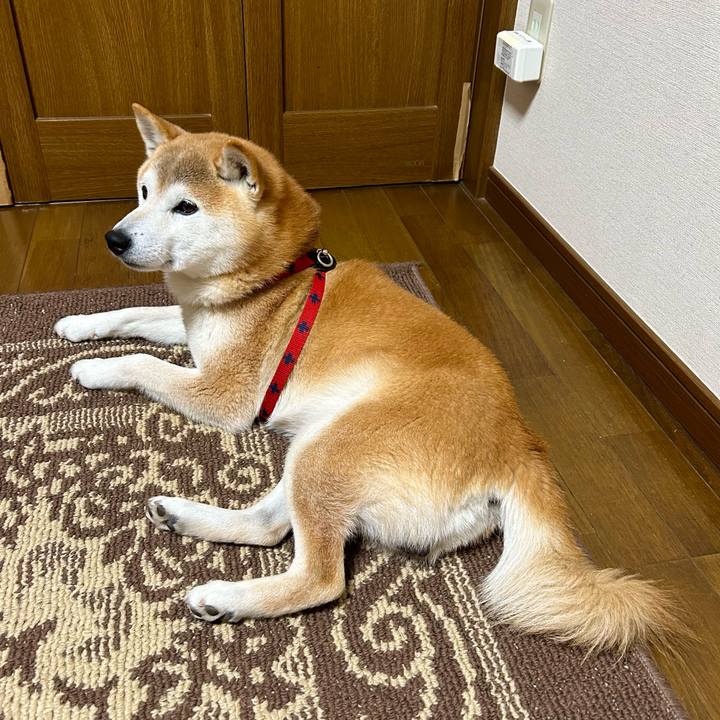 7dcfdbc2 4720 4484 bc1e 5546c09d39e2 1708859230447