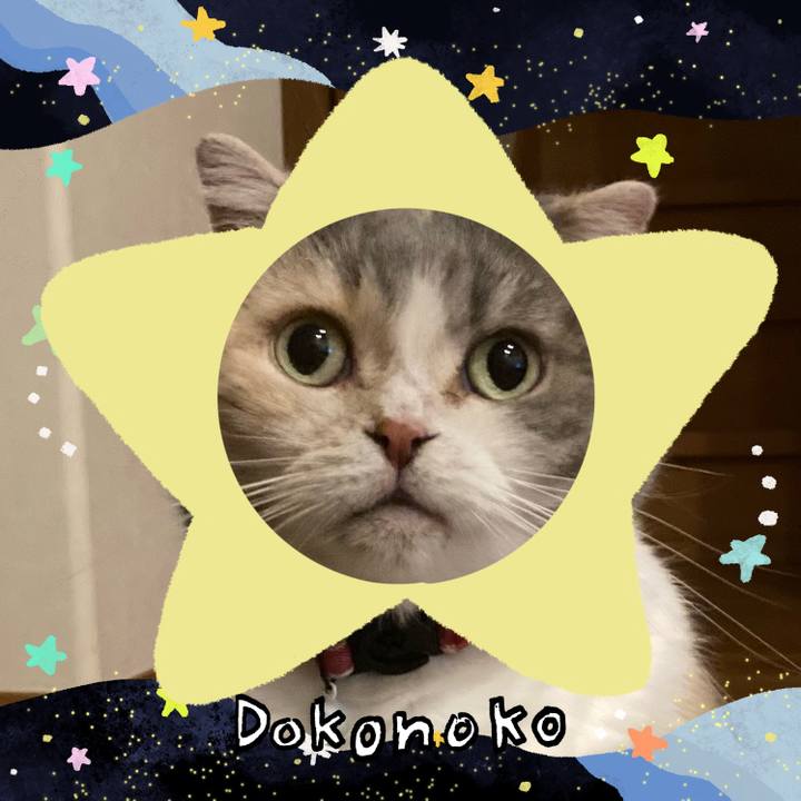 7dcfde64 f427 40c4 a83c 9fab9c971a0f 1720773843408