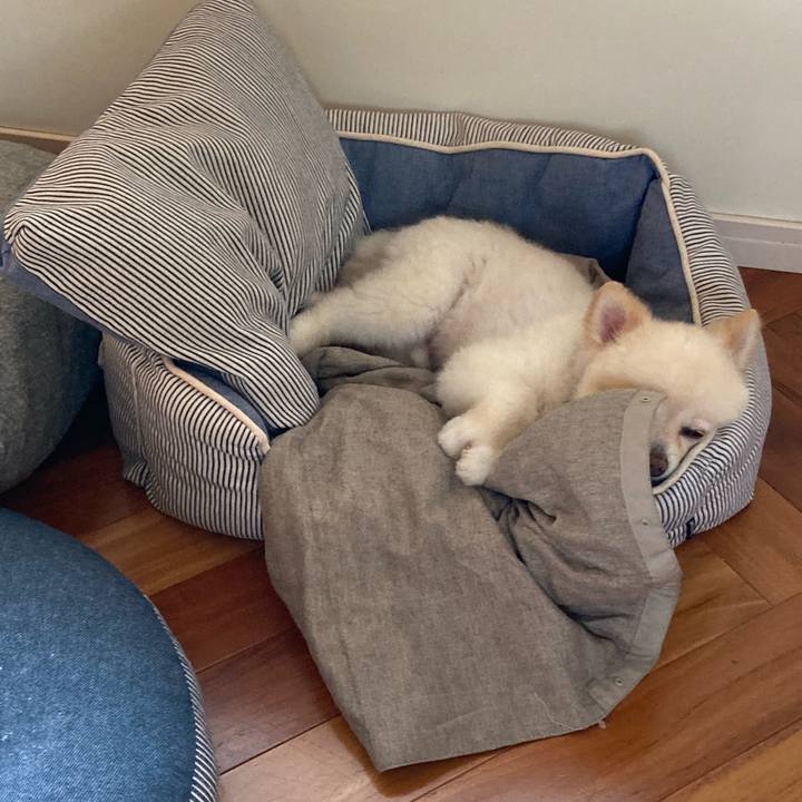 7dcffa1f 3a8f 497e 902d f236a30d229b 1625442380554