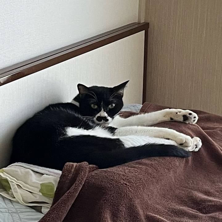 7dd00985 46e9 492c 82c0 898c5ec3245d 1656738387606