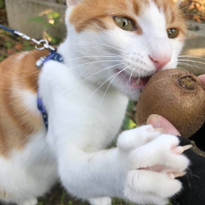 7dd02f74 ff52 4e39 ad9b 058bbc58f8e2 1540532050714