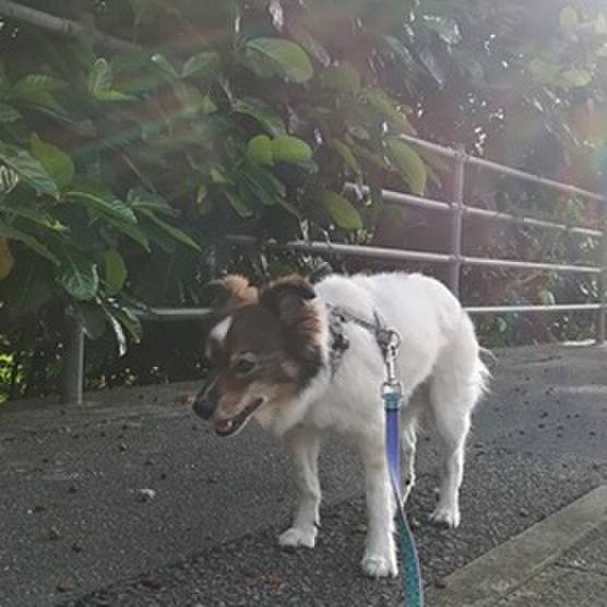 7dd0db83 a8aa 4129 a3ef b13e7721dc13 1595570676054