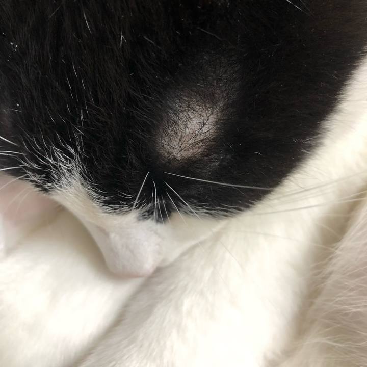 7dd0dde0 3e18 4176 9578 358a433f58d0 1628926990234