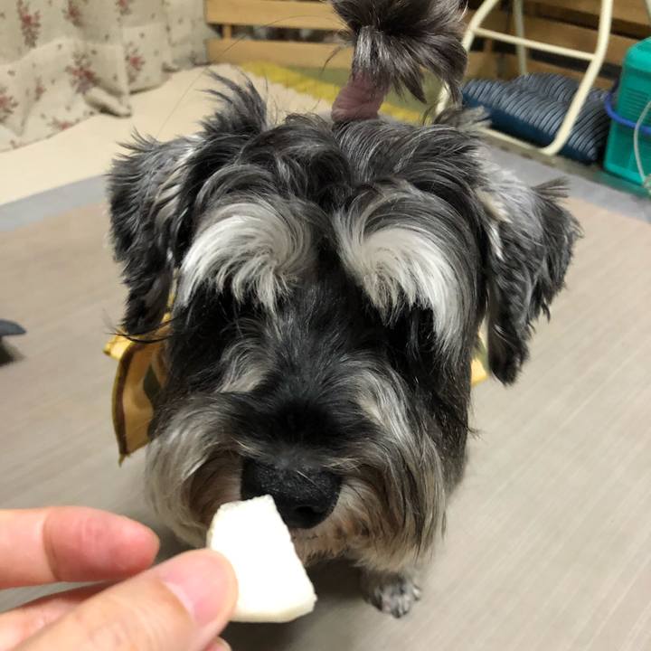 7dd10305 2e29 4a7e 9a61 234b2c416d18 1630149600493