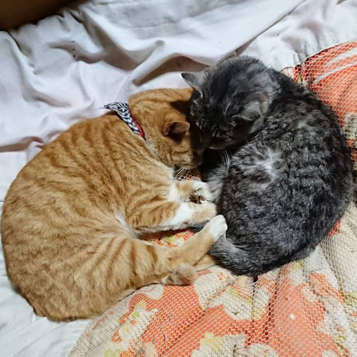 7dd10e50 12ae 4781 8801 4dfab002d11e 1574516347981