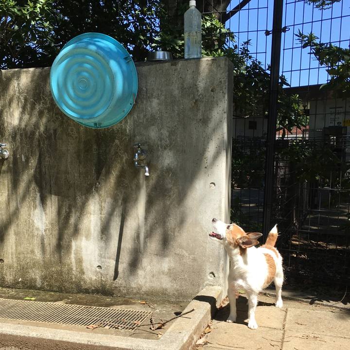 7dd13f40 c8ac 4fcc ae21 f6aea5c2ca54 1626651014842