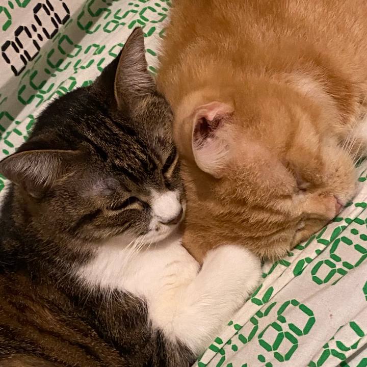 7dd14e84 2878 4af5 aae7 eb41b8162e6d 1662837782246