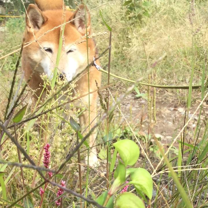 7dd16cf9 e9e4 48e6 a3a2 e9eccfdb205b 1603336883155