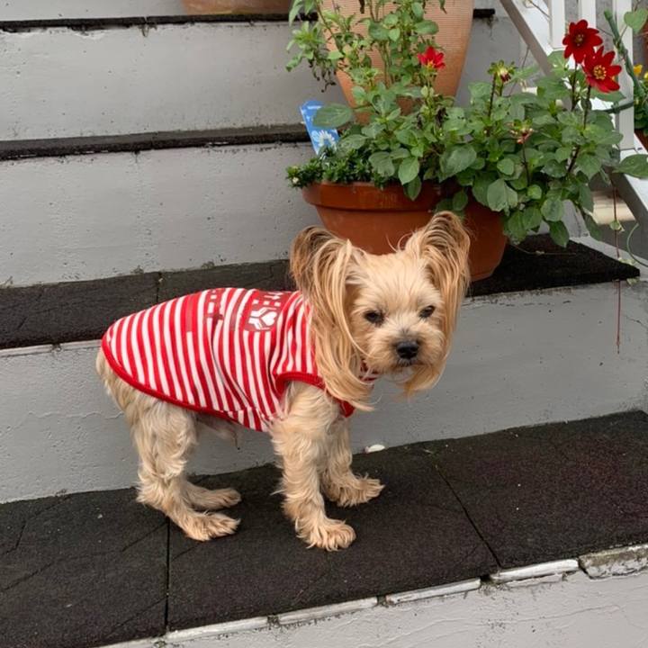 7dd175ef ba2c 4458 850c 66d77228837b 1634894448628