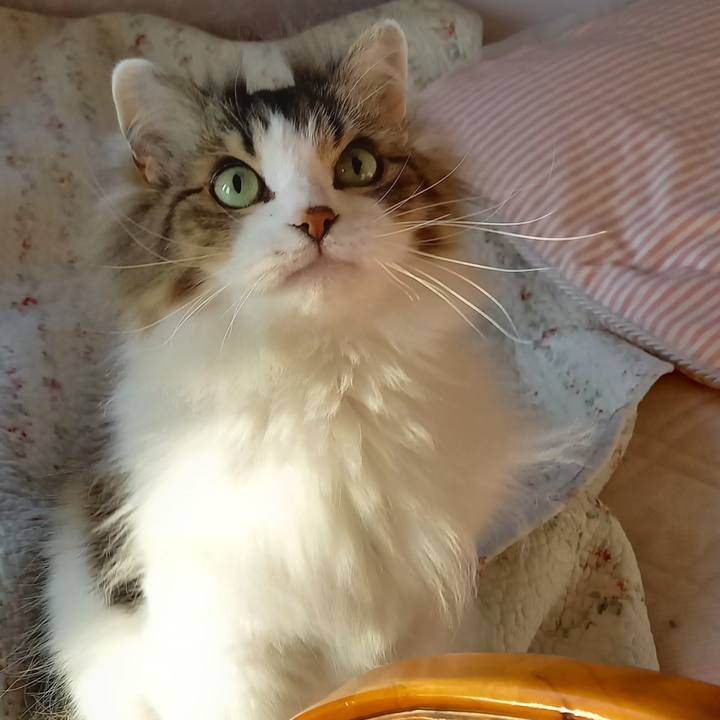 7dd19a8f 5270 4135 9c0c 4935a175cd34 1618263413853