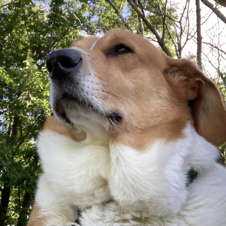 7dd1c58b f122 40b3 9913 97474b2d4684 1715906043987