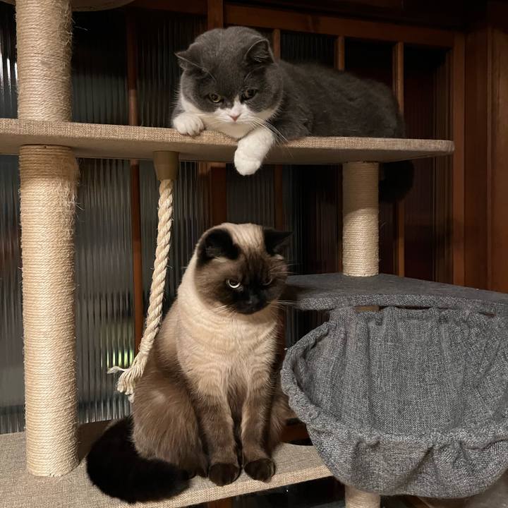 7dd1d39f 178d 4d9d b3aa 54cd42df0ae2 1642912716975