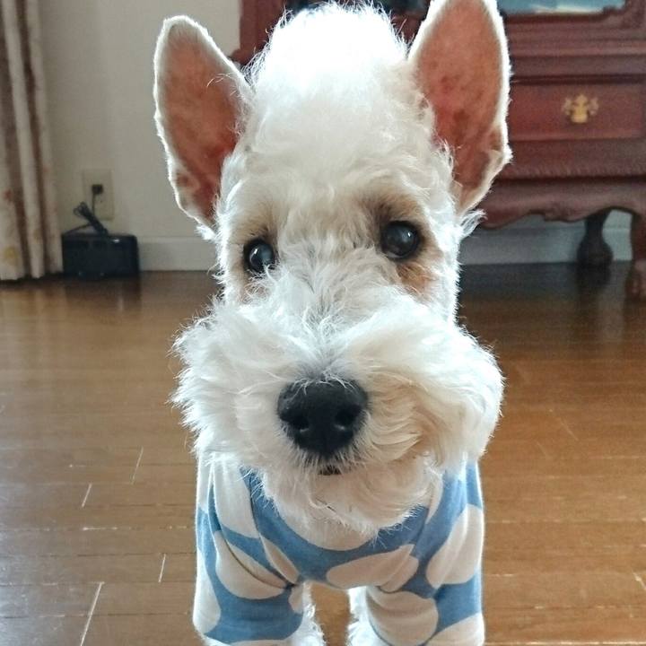 7dd2188d 721c 4eff be26 63b52b7be38e 1595432080554