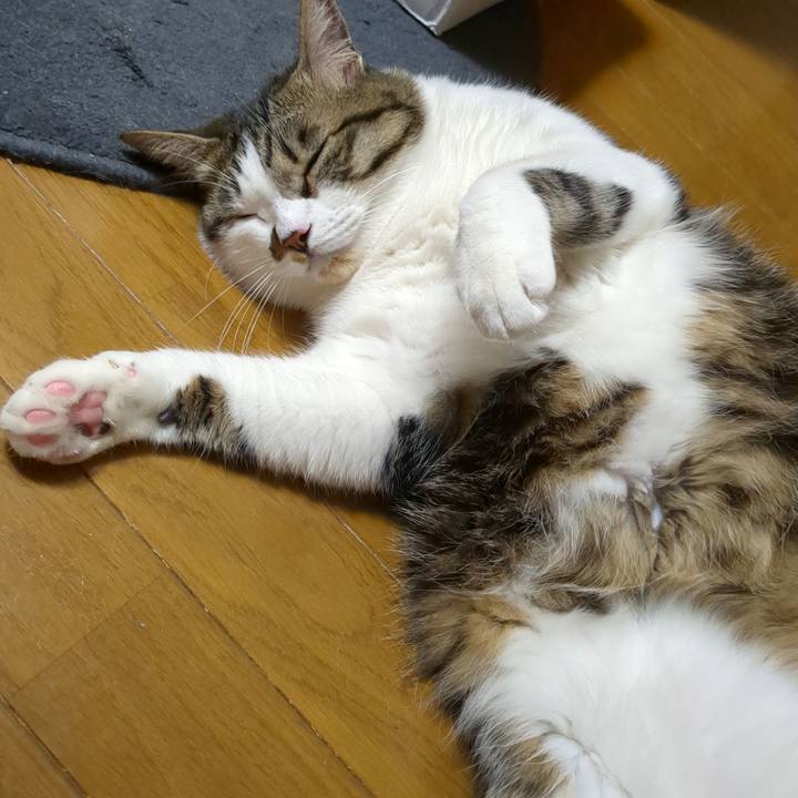 7dd222ab baa9 4d3e bb1f 8076d718ee0d 1682685059200