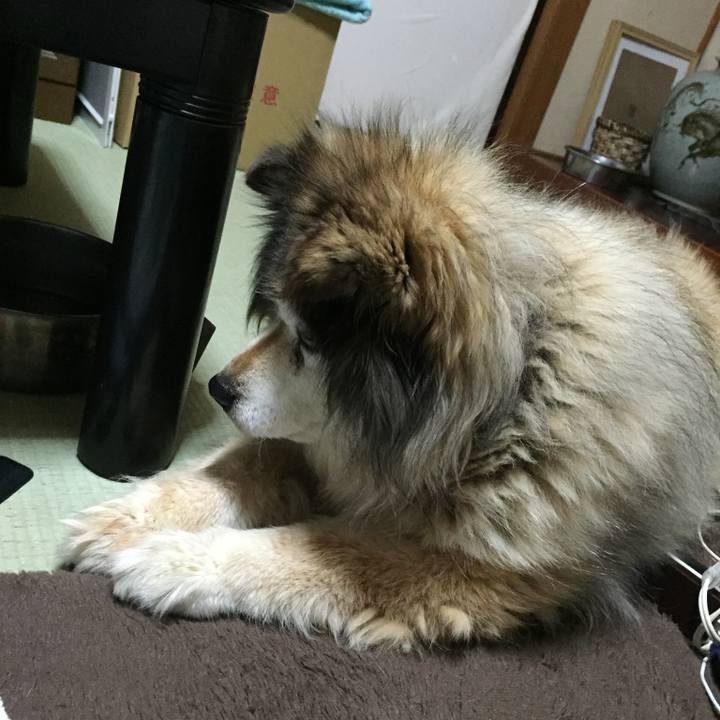 7dd23102 83da 496e 814c 986796b022a4 1570320063859