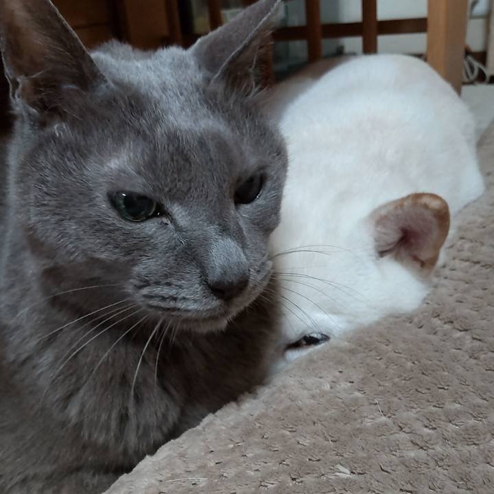 7dd25c4b f05e 4232 b06f 242ed7911d58 1645765721351