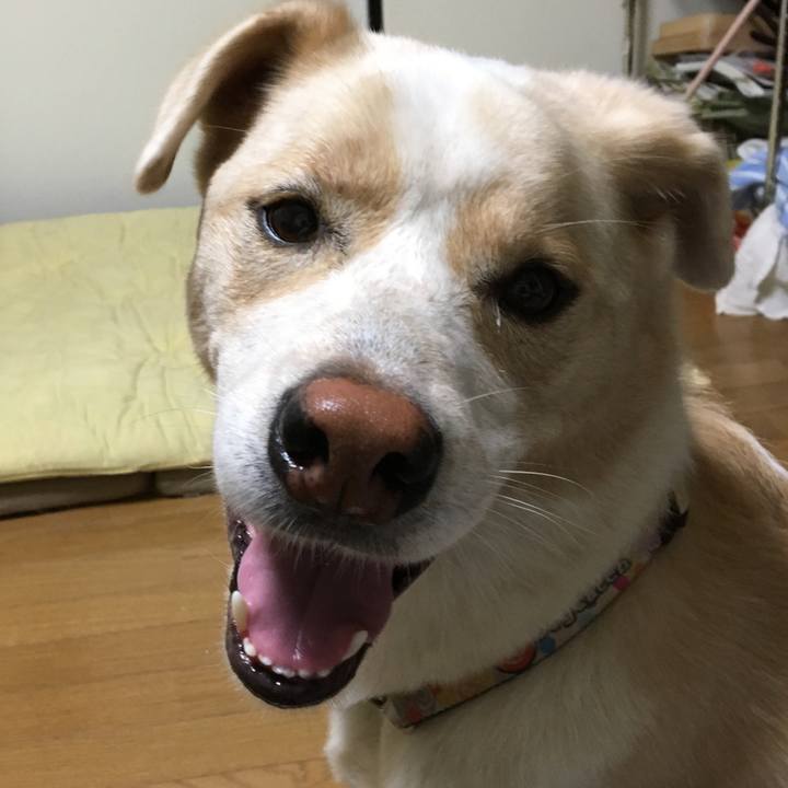 7dd25f8d aec5 4635 aeba bb8c3662b168 1539177234593