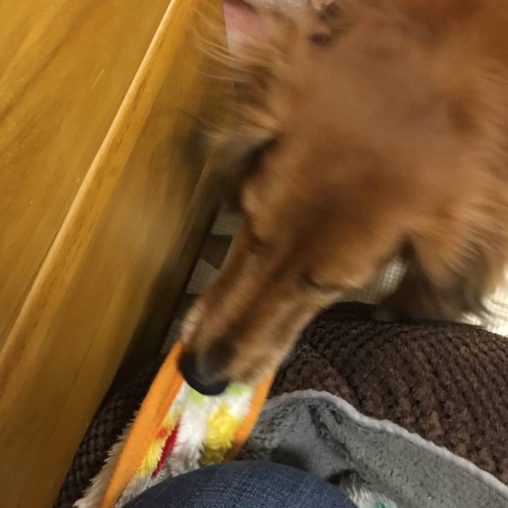 7dd26891 345e 4752 ac5d 2a14eac4f8ad 1519274851163