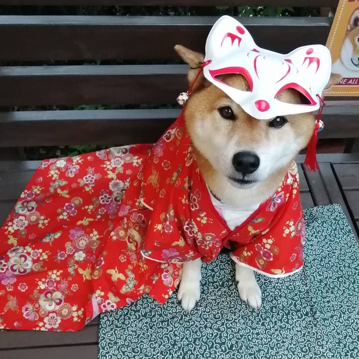 7dd26e01 bc78 47a9 95d0 9058bf509f50 1686736510479