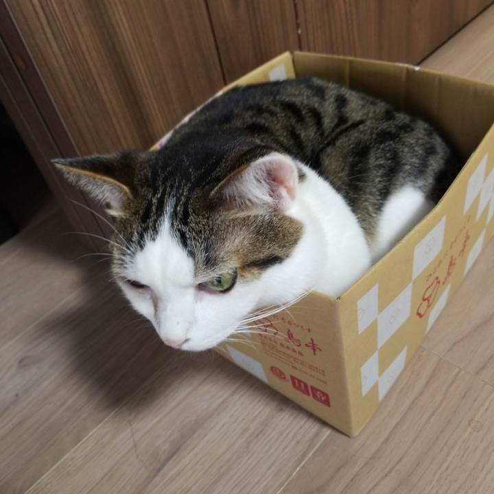 7dd28a14 a0f2 49d9 adf8 75e68961989a 1562793216417