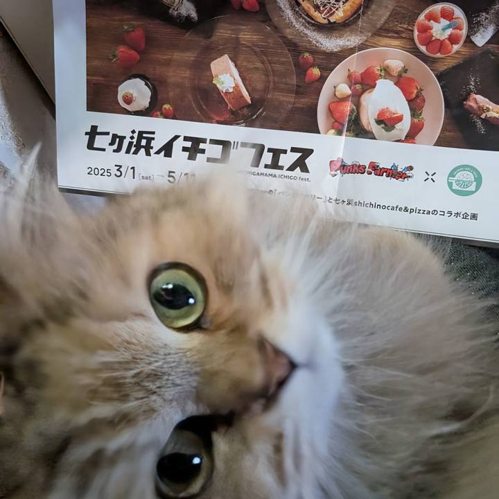 7dd29571 6237 4c5e b795 6ea24a46ff6c 1741913806326