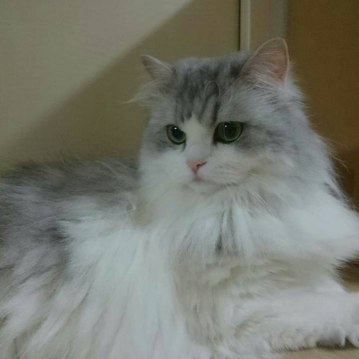 7dd2a3e7 d4bc 4b25 bc1f 1f4a3b30726e 1532039572554