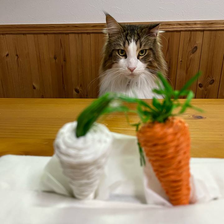 7dd2c94d 581a 47c4 a93a 69862e81aa1b 1670364045735