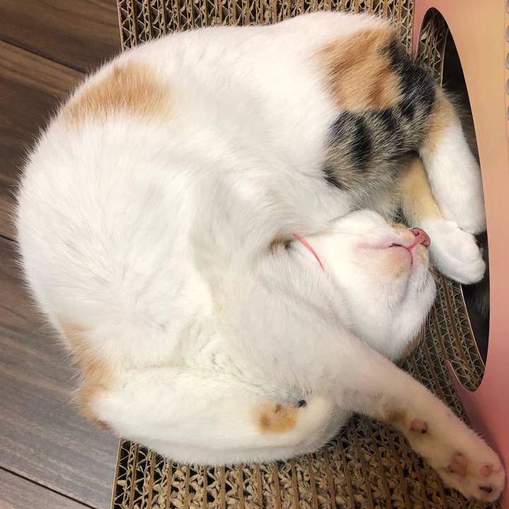 7dd32856 f240 417b a5db 1f64ecb0a334 1570281354344