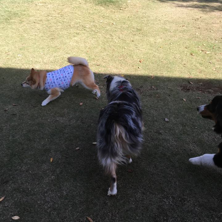 7dd332b4 b8b5 4f99 90a5 4c5a6603d2ee 1542340168879