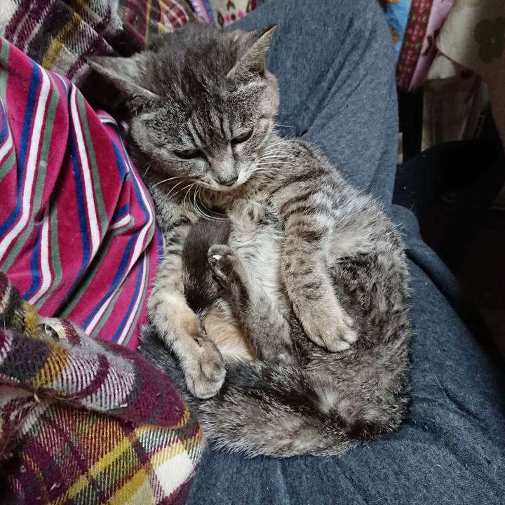 7dd3397d 9d77 498e ba0e 51b40d6517da 1584854288305