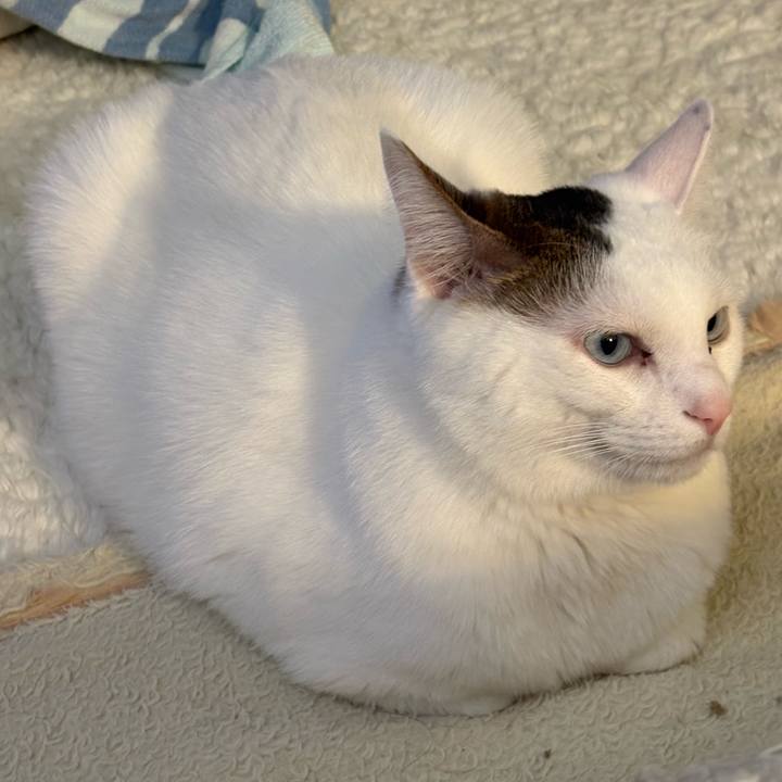 7dd38e67 f149 4559 ad4d 4a52535d5c03 1739834551065